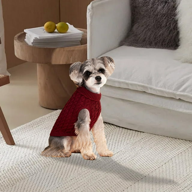 Modern Minimalist Style Pet Sweater For Comfort And Warmth Apparel For Cold Weather Activities