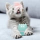 thumbnail image 5 of Juguete de plumas para gatos Juguete para gatos Bola de vaso de 360°, con plumas de colores y cascabeles para atraer la atención de tu gato Juguete novedoso, 5 of 5