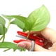 thumbnail image 4 of Juego de cuchillos para recoger frutas y verduras | Cortador de pellizco de uva | Diseño de pulgar para la cosecha de pepino, tomate y fresa | Cómoda punta de plástico para los dedos | Cubierta de, 4 of 5