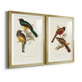 thumbnail image 2 of Wexford Home Elegant Trogons III Premium Framed Print, 26.5" x 36.5" - Ready to Hang, Gold (Set of 2), 2 of 9
