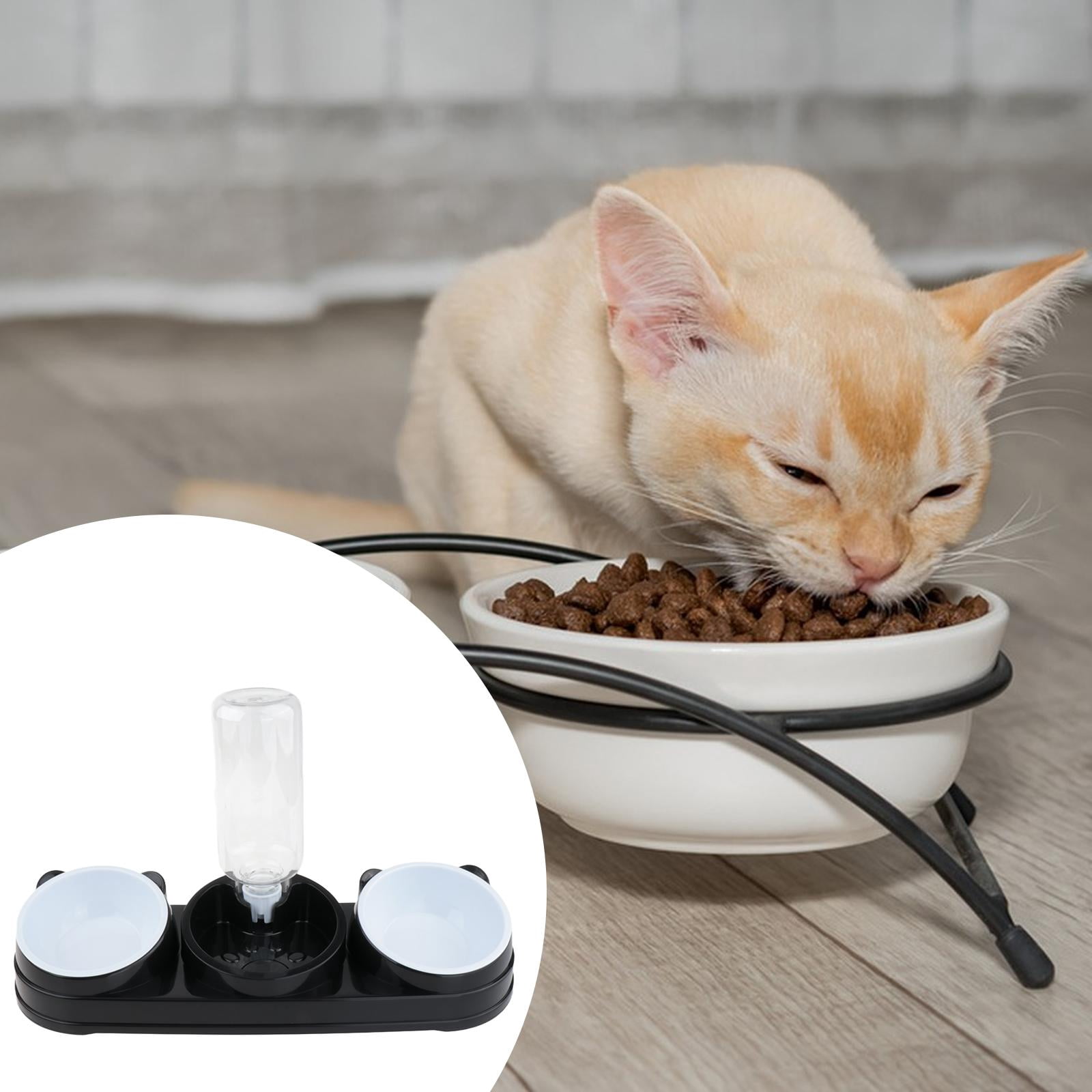 Cat Water Food Bowl Automatic Feeder Tilted Raised PP Material Easy Cleaning for Indoor Cats and Small Dogs
