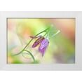 thumbnail image 1 of Parker, Jacky 32x23 White Modern Wood Framed Museum Art Print Titled - Snakes Head Fritillary, 1 of 4