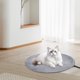 thumbnail image 4 of Almohadilla Térmica Para Cama Suave Y Cálida Para Mascotas Control Por Termostato Acogedora Alfombrilla Calefactora De Invierno Para Perros Y Gatos Calentador De Mascotas De Bajo Consumo, 4 of 6