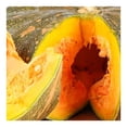 thumbnail image 2 of Calabaza de castilla por kilo, 2 of 4