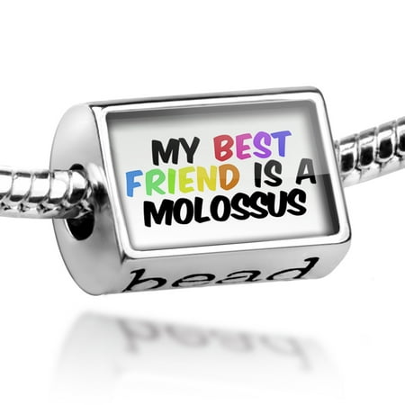 Bead My best Friend a Molossus Dog from Greece Charm Fits All European
