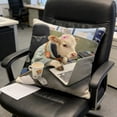 thumbnail image 6 of Funny Office Humor Pillow Cover 18x18, “Office Livestock” Cow & Horse Suit Print, Soft Washable Cushion Cover with Hidden Zipper for Desk Chair, Cubicle or Work From Home Gift, 6 of 6