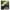 Zen Garden Bamboo, variant on Sunyuer Vintage Beautiful Peacock Shower Curtain for Bathroom, Waterproof Polyester Fabric Bath Curtain 72 x 72 Inch with 12 Metal Hooks