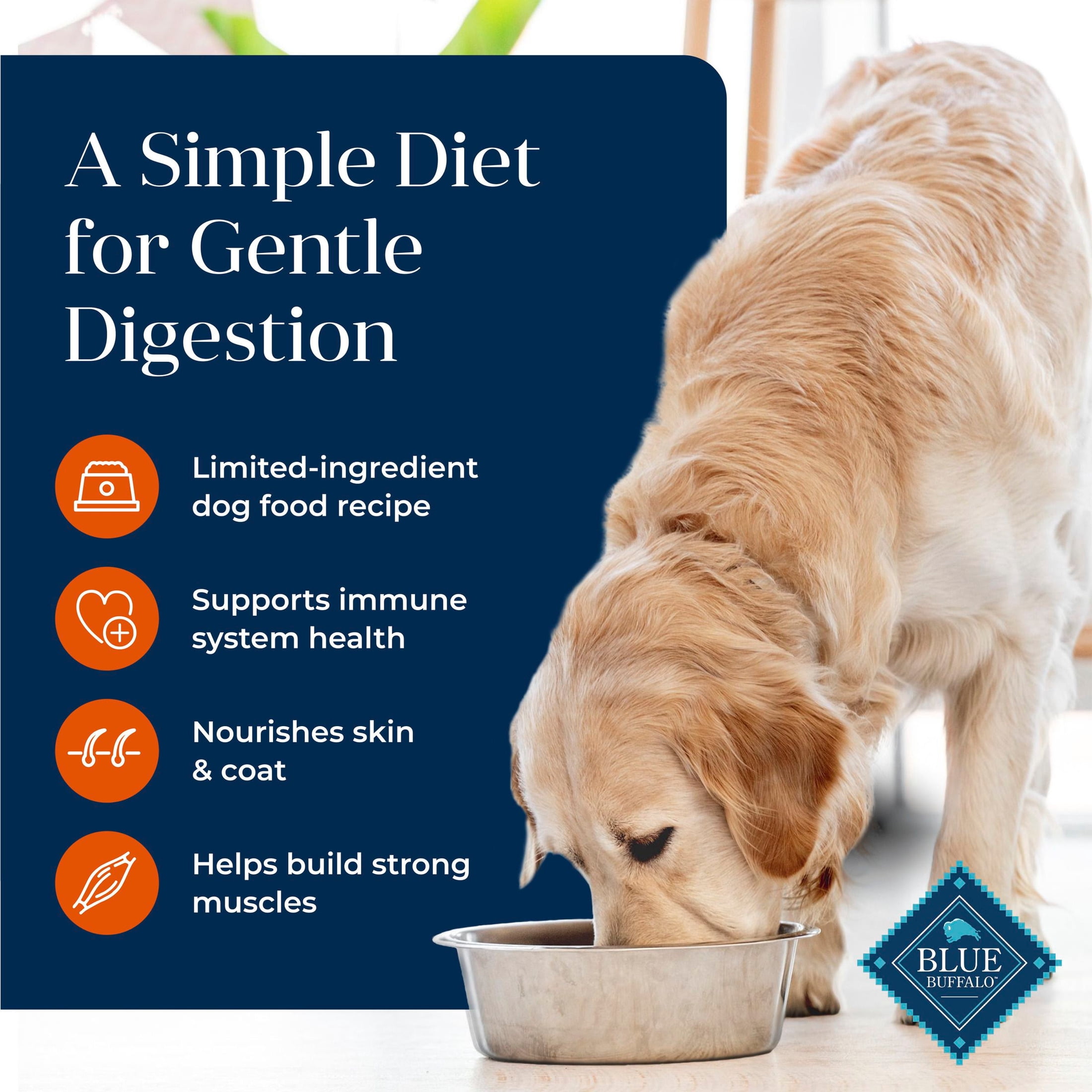 Blue Buffalo Basics Large Breed Dry Dog Food, Turkey, Chicken Free, 24lb Bag
