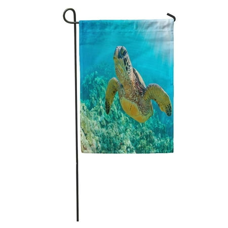 LADDKE Green Maui Sea Turtle Over Coral Reef in Hawaii Snorkel Swim Underwater Garden Flag Decorative Flag House Banner 12x18