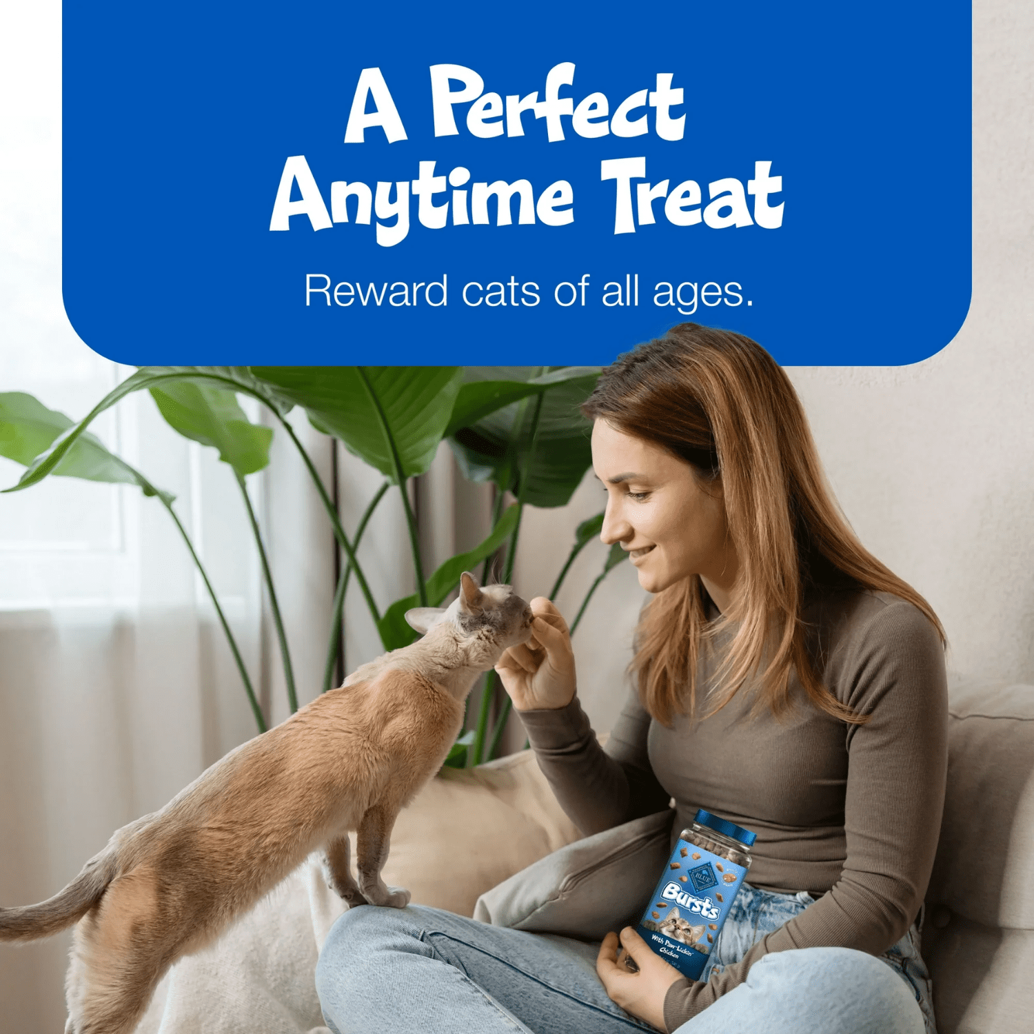 Blue Buffalo Bursts Gâteries Croquantes pour Chats Saveur Poulet 340g