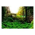 thumbnail image 3 of Tiptophomedecor Landscape Wallpaper Wall Mural - In Tropics, 3 of 4