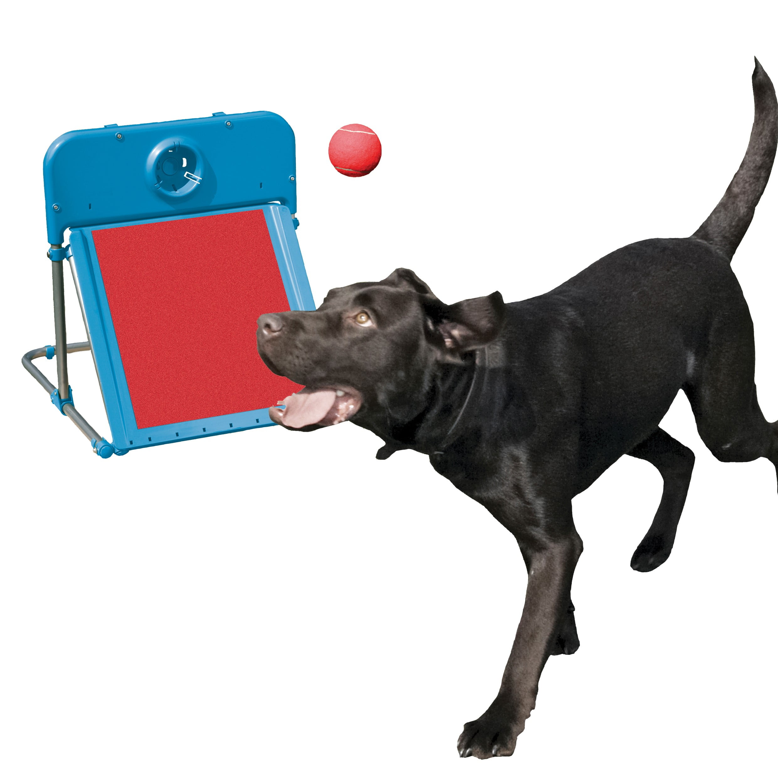 Rosewood Pet Agility Flyball Dog Training Toy