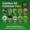 thumbnail image 4 of 1 Pack Outdoor Disposable Hanging Fly Trap with Natural Pre-Bait, Catches Flies Everywhere Anywhere – Stables Ranches Cottages and More, Dissolvable Bait Pack with 10g Lure, 4 of 5