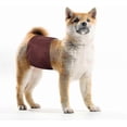 thumbnail image 4 of Reusable Male Dog Diapers - Washable Belly Bands for Dogs (3 Pack), 4 of 4