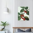 thumbnail image 4 of NTIAOTIAOHOU Art, French Botanical Print - Wall Art, Redoute Vintage Cherries, Fruit Kitchen Decor, 4 of 5
