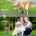 thumbnail image 3 of 4 Pieces No Poop Dog Signs Please Be Respectful No Pooping Dog Lawn Signs No Dog Poop Yard Signs Stop Dogs From, 3 of 3