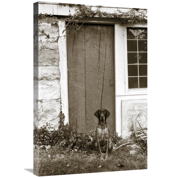 Global Gallery's 'I am Home' By Jim Dratfield Stretched Canvas Wall Art