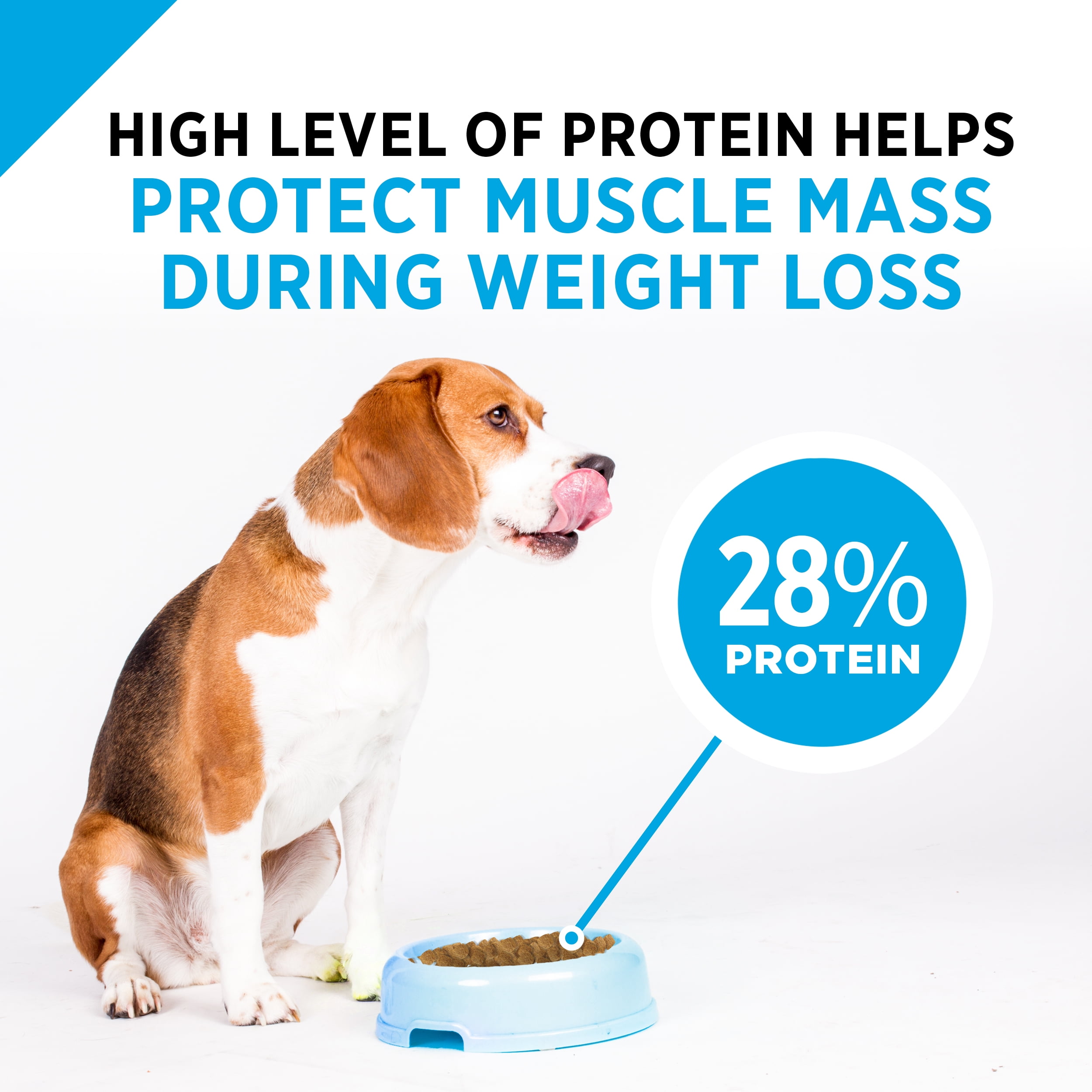 purina pro plan focus weight management