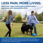 Previcox (Firocoxib) Anti-Inflammatory Chewable Tablets for Dogs, 57mg