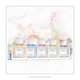 thumbnail image 5 of Perfume Vera Wang Embrace Eau De Toilette 30 ml para mujer, 5 of 5