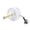 White, variant on Oscillating Pedestal Fan with 3-Speed and Timer for Bedroom Living Room