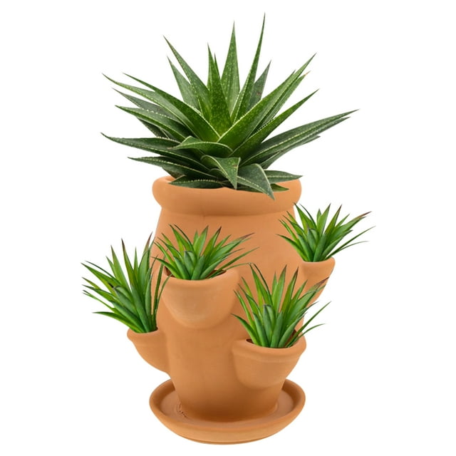 Maceta de fresas: Maceta de cerámica con 6 compartimentos - Maceta de terracota para suculentas - Maceta decorativa para interior y exterior