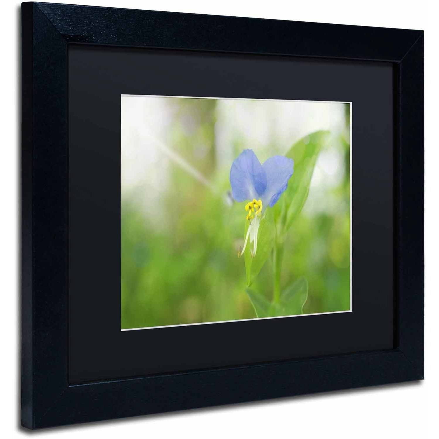 Trademark Fine Art 'Asiatic Dayflower' Canvas Art by PIPA Fine Art, Black Matte, Black Frame