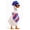 B-29, variant on HWRETIE Tabletop Decoration Desk Gooses Outfit Mini Desktop Figurine Costume Gardener Football Fishing Clothes Accessories