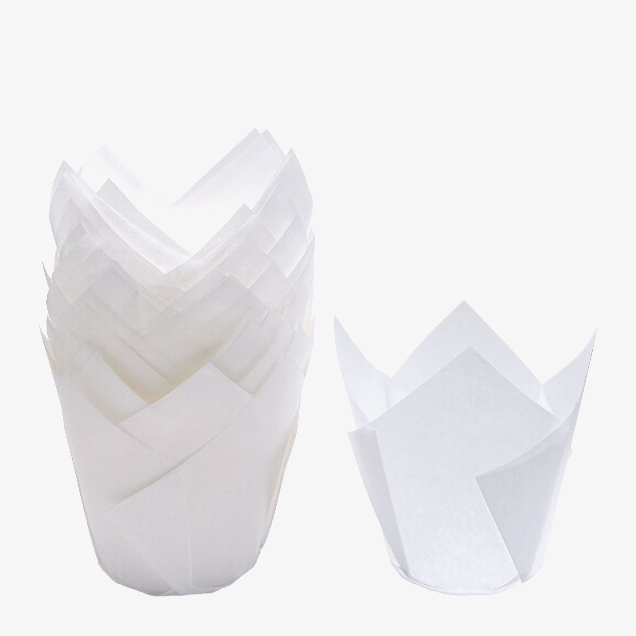 White Tulip Baking Cups, 24 Count, by Way To Celebrate