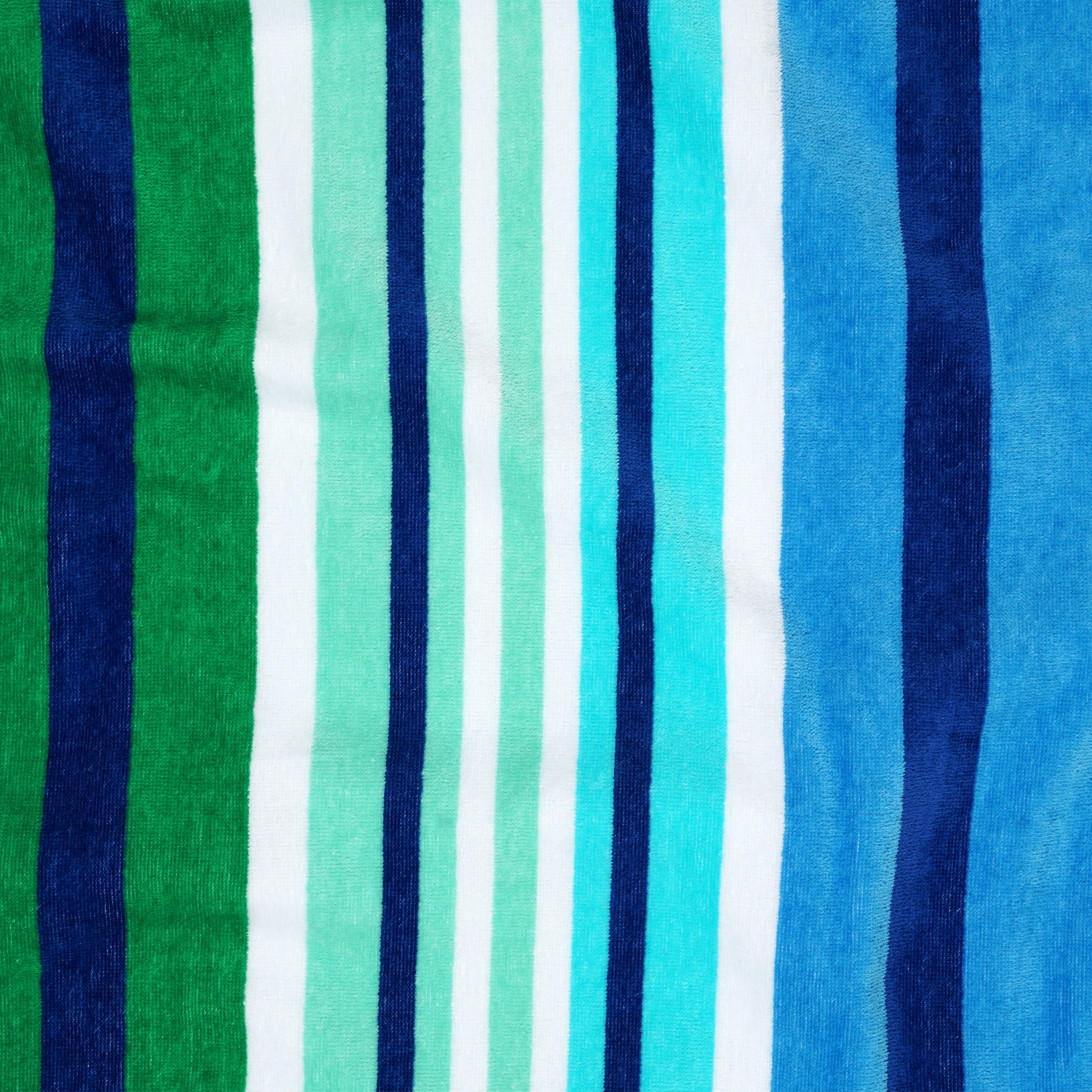 Coastal Charm Adult Foliage Beach Towel (Pack of 2)