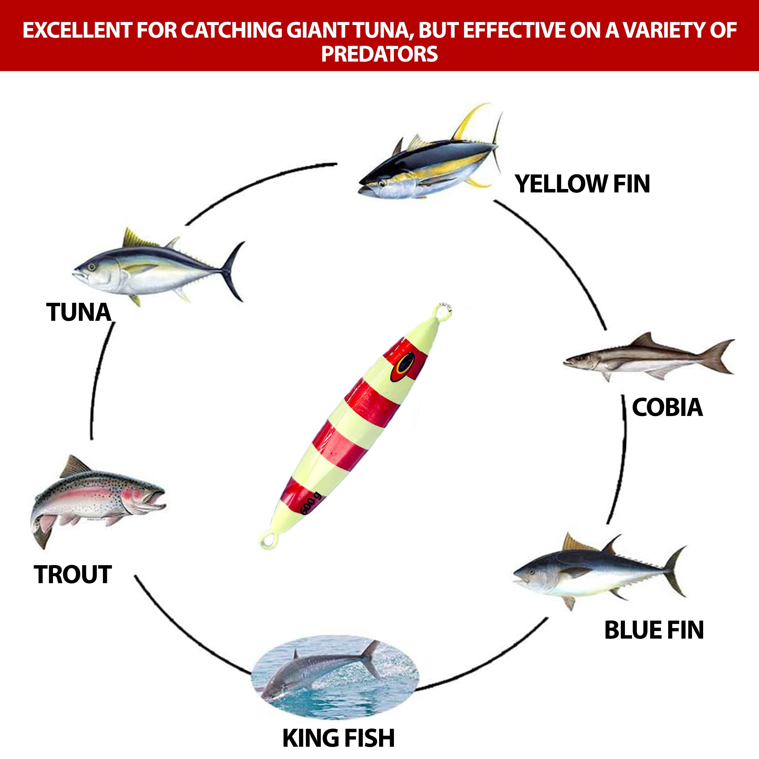 7" Tuna Jig 600g,3 Pcs Rainbow Zebra Glow Fishing Lures, Ideal for Tuna & Saltwater Fishing