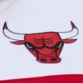 thumbnail image 5 of Men's Mitchell & Ness  Black Chicago Bulls Head Coach Hoodie, 5 of 5