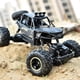 thumbnail image 5 of 1/16 Off-road Buggy Alloy RC Car 2.4GHz 4WD 15km/h High Speed Climbling Car RTR, 5 of 5