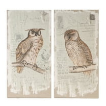 A&B Home Lilith Owl Prints - Set of 2 - 38.5"H x 20"W - Brown
