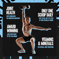 thumbnail image 5 of Animal Flex – All-in-one Complete Joint Supplement - Turmeric Root Curcumin – Collagen - Glucosamine Chondroitin - MSM - Hyaluronic Acid - Repair and Restore – 30 Scoops, 5 of 16