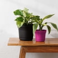 thumbnail image 2 of Bloem Saturn 7" Round Plastic Planter - Indoor/Outdoor, Snap-in Saucer & Drainage Holes, Black, 2 of 8