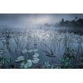 thumbnail image 2 of Pettersson, Benny 18x13 White Modern Wood Framed Museum Art Print Titled - Dawn Light, 2 of 4