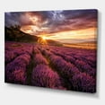 thumbnail image 3 of Designart Sunrise & Dramatic Clouds Over Lavender Field IV Canvas Wall Art, 3 of 4