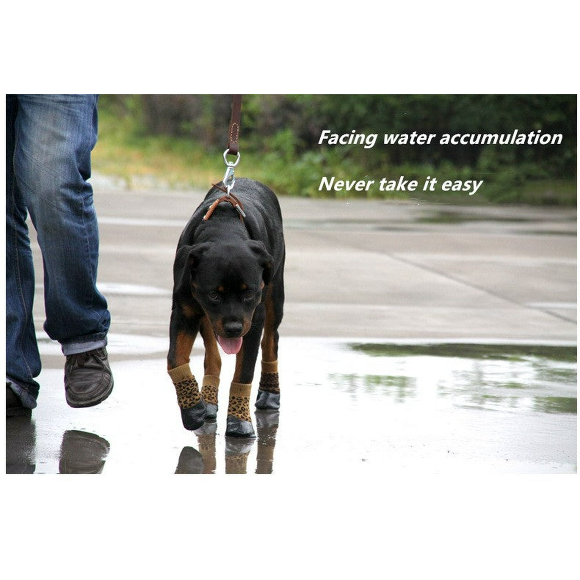 A99 Wps 4 Pcs Pet Dog Socks Anti Slip Dog Socks Outdoor Dog Boots Waterproof Dog Shoes Paw Protector Traction Control For Hardwood Floors Rose Red