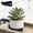 Black #t86, variant on Japceit Modular Garden Pot Feet Pads, Breathable Plant Pot Risers for Drainage, Ventilated Base Lifters to Prevent Root Rot, Stackable Elevator Stands for Balcony, Patio, Indoor Plants