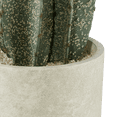thumbnail image 3 of Bouclair Green Large Artificial Cactus in Cement Pot, 3 of 3