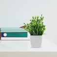 thumbnail image 7 of Hemoton Home Decor Imitation Plants Office 17.50X6.50X6.50CM, 7 of 7