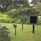 thumbnail image 4 of Foco Solar De Bsv-Sl302, Foco Led Para Paisaje Con Batería, Ángulo Ajustable, Luz Blanca Impermeable Para Exteriores, Para Césped Y Jardín Guardurnaity HA015263-00, 4 of 7
