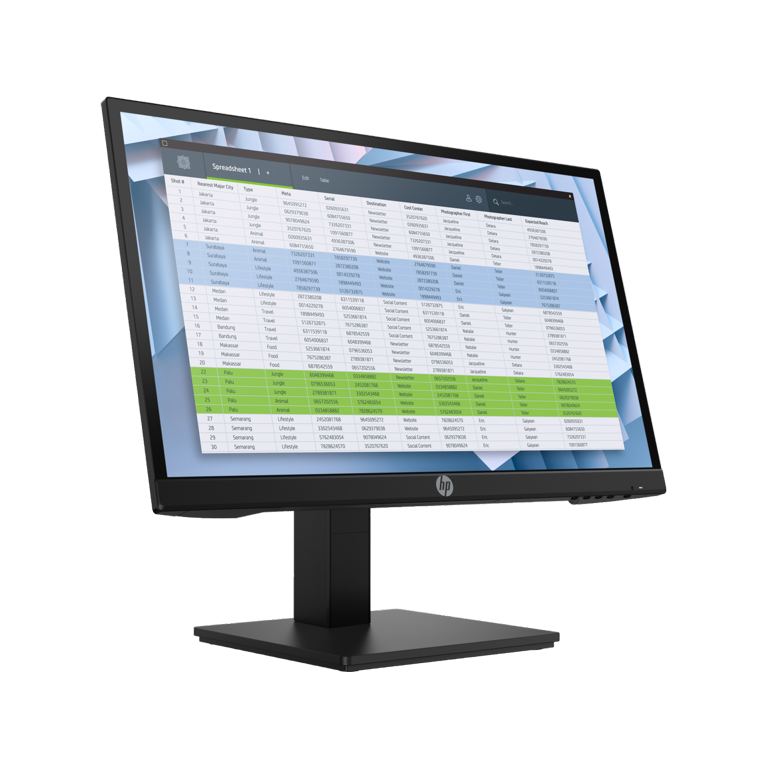 HP P22h G4 FHD Computer Screen Monitor 21.5