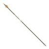 Gold Tip Kinetic Hunter Arrow, Size 400,