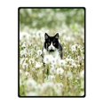 thumbnail image 1 of RYLABLUE Couverture pour Chat en Polaire pour Canapé Ou Lit 58x80 Pouces, 1 of 3