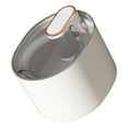 Pet Water Fountain Automatic Large Capacity Quiet Enhanced Electric
