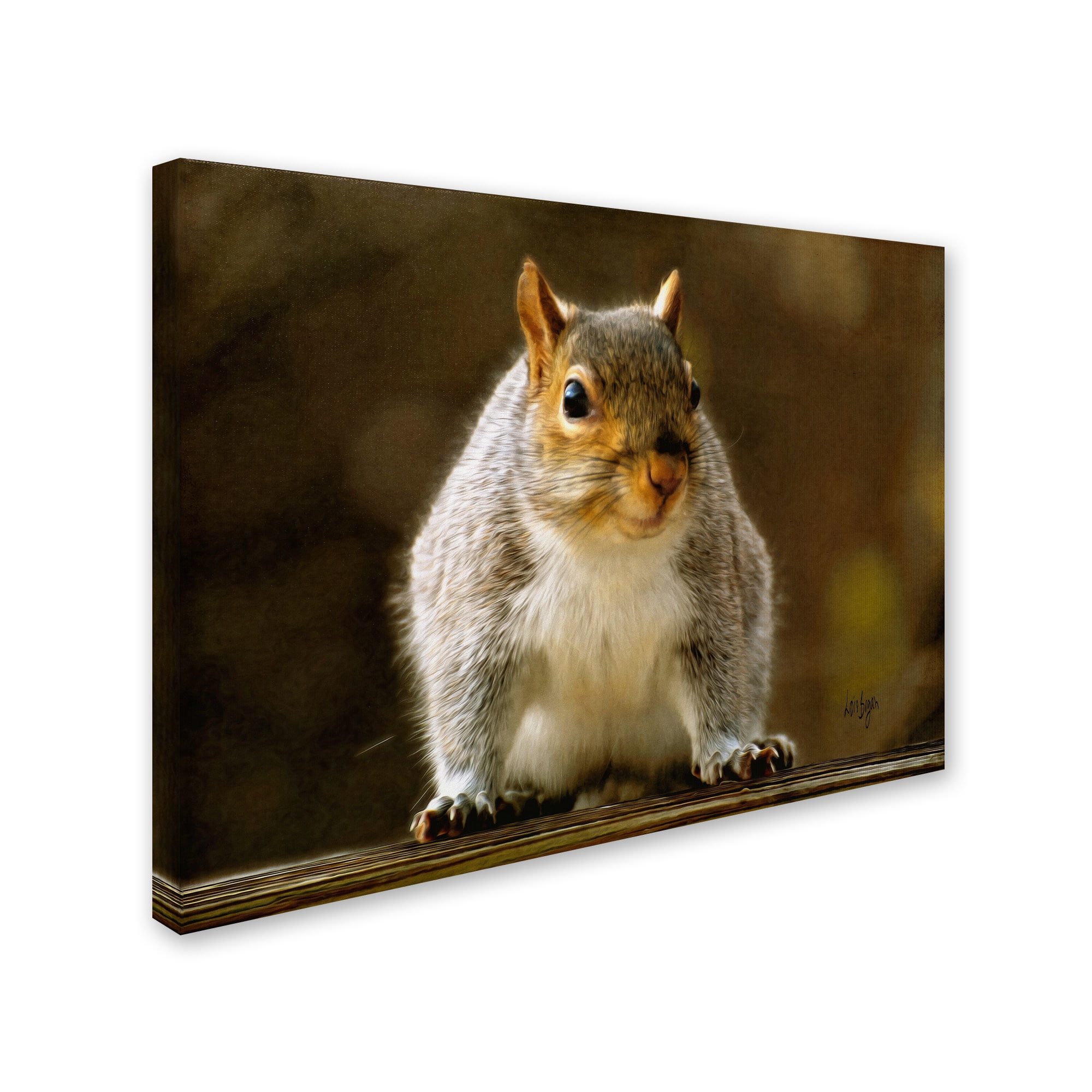 Trademark Fine Art "Smiling Squirrel" Canvas Art by Lois Bryan