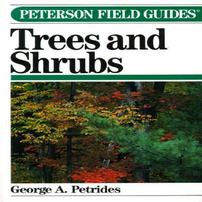 Pre-Owned Field Guide to Trees and Shrubs (Peterson Field Guides) Paperback