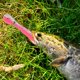 thumbnail image 1 of 5x 10cm 6g Bionic Loach Señuelos de Pesca Crankbait Artificial Cebo Blando (Rosa), 1 of 3